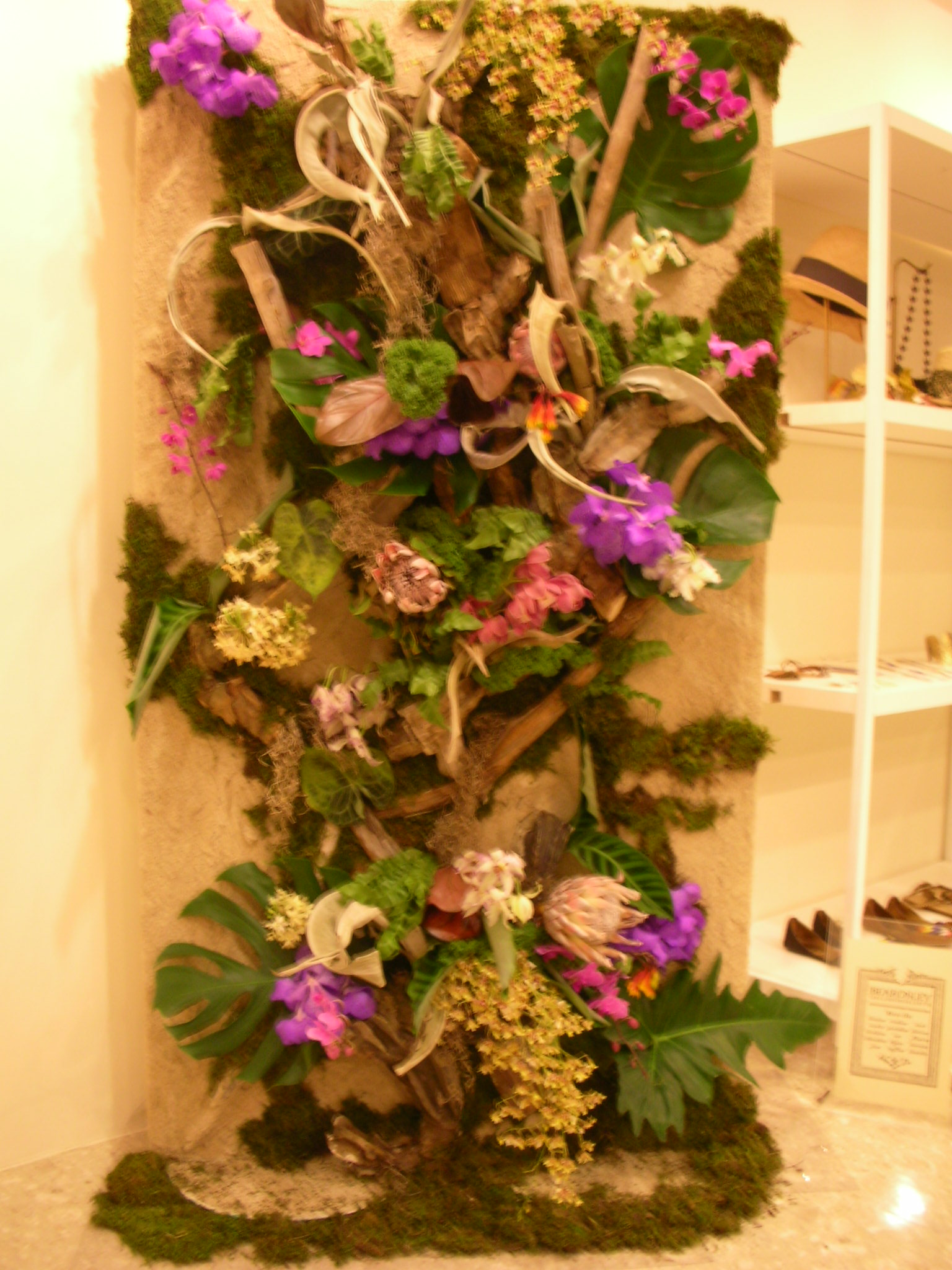 DSCN6422.JPG