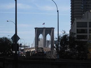 IMG_3521.JPG