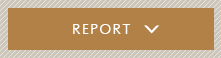 REPORT