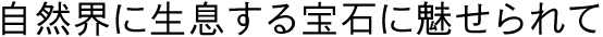 自然界に生息する宝石に魅せられて